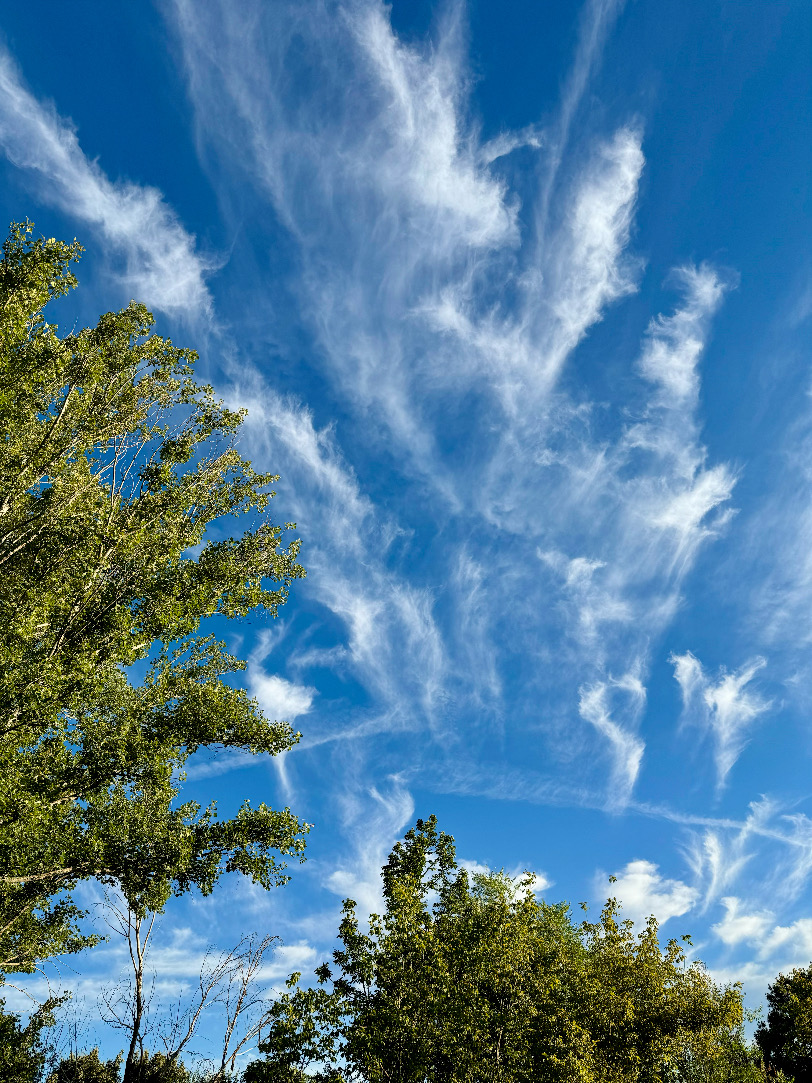 Bonitos cirrus a primera hora de la mañana 
