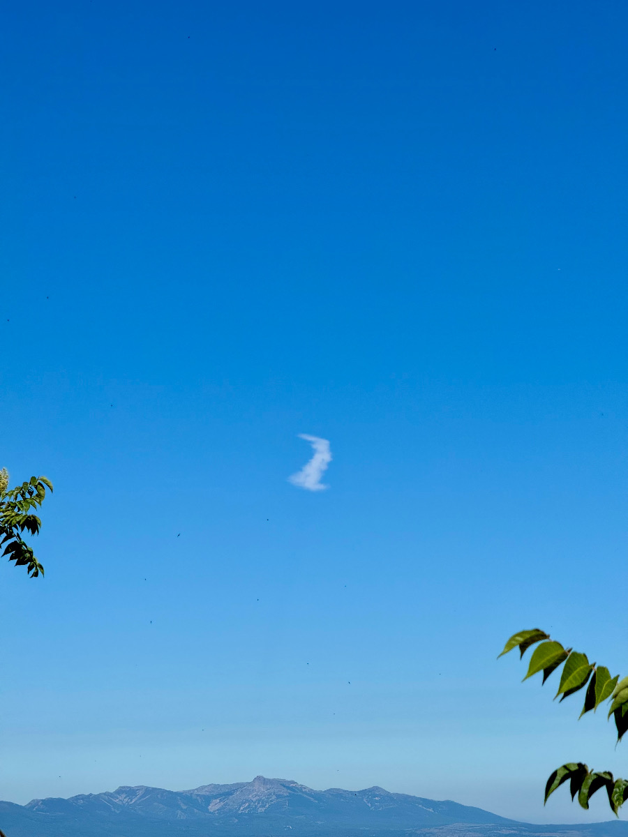 Solitaria nube con forma de conejo
