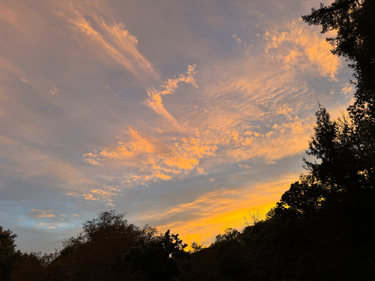 Amanecer con diferentes tipos de cirros 
