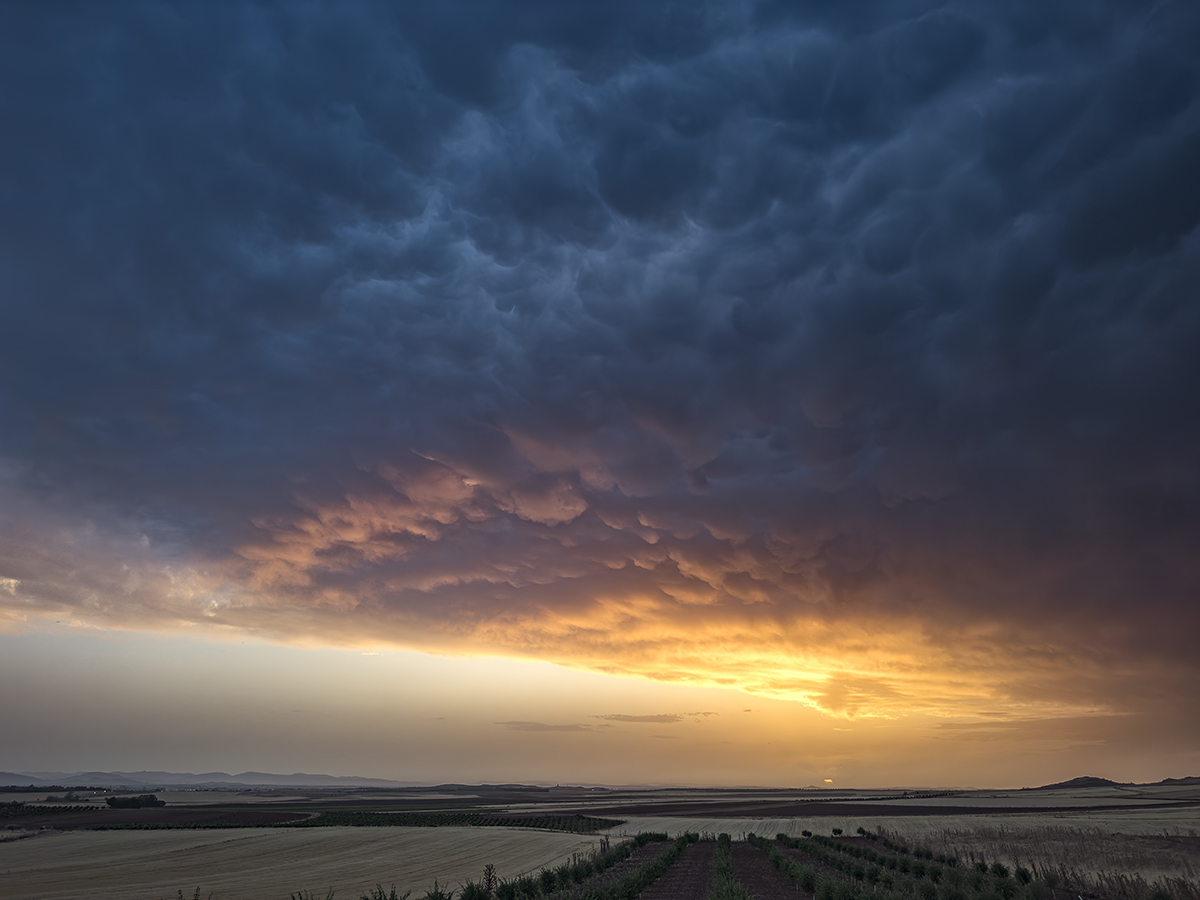 Este grupo de nubes que incluye mammatus, se asemeja a la nave de la película Encuentros en la 3ª fase. El sol mientras se pone en el horizonte le da ese tono dorado.
