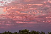 Capas de lenticulares