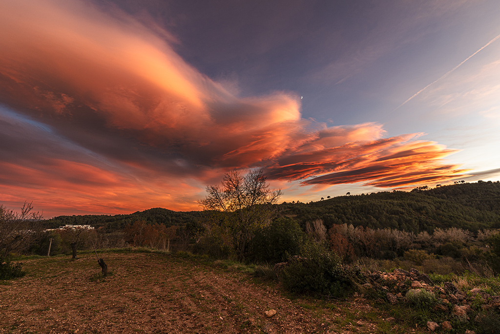 Atardecer con el paso de altocúmulos lenticulares mirando al sur. 
