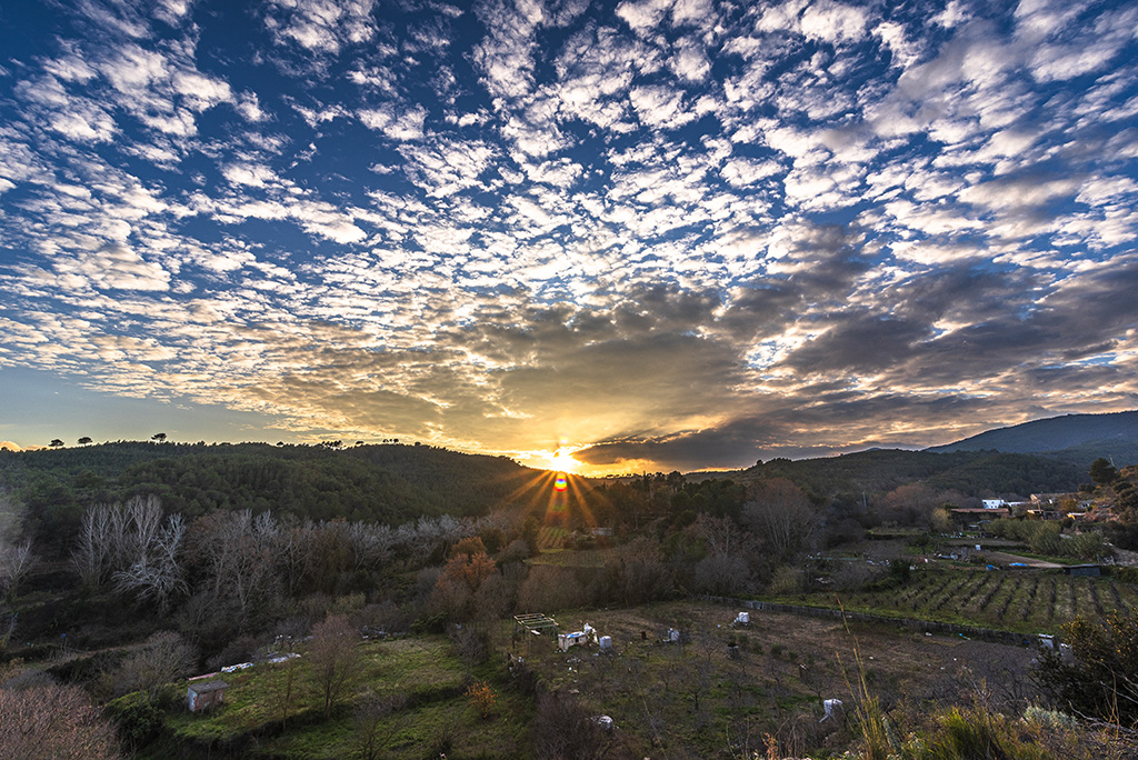 Última puesta de sol del 2024 con altocúmulos que daron un cielo espectacular. 
