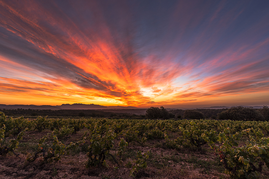 Espectacular candilazo al amanecer con el paso de cirrus radiatus con Montserrat al fondo. 
