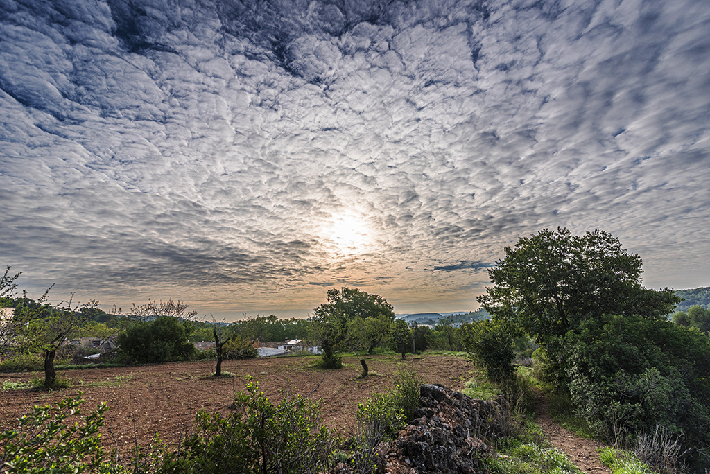 Espectacular cielo aborregado matutino que suele marcar cambios normalmente, en este caso no hubo lluvia los días siguientes. 
