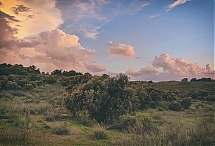 Nubes_en_la_dehesa.jpg
