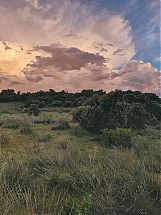 Nubes_sobre_el_encinar.jpg