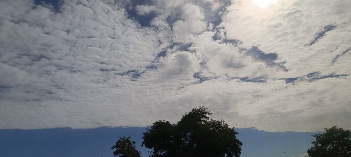 Nubes esparcidas sobre el cielo marcando un horizonte inferior, casi donde acaba el alcance del árbol. Asemeja ambos horizontes rozándose brevemente. Tomada en un viaje por raíles.
