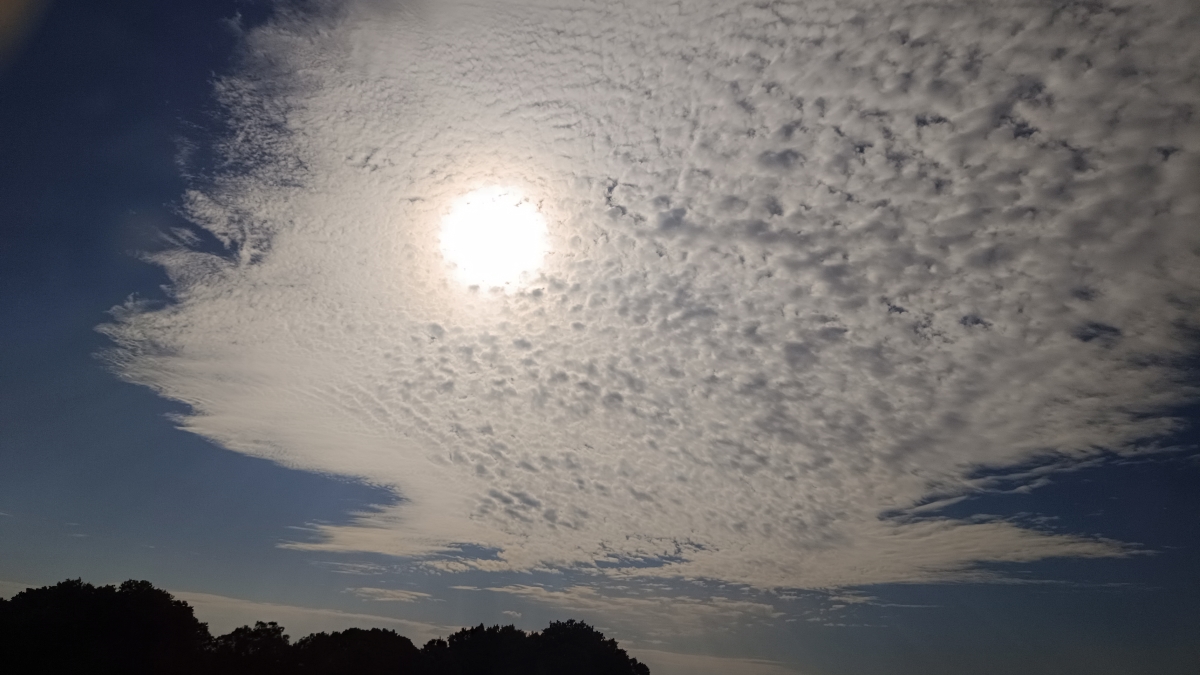 Pez Koi del cielo y ojo de luz, captado en un viaje de tren.
