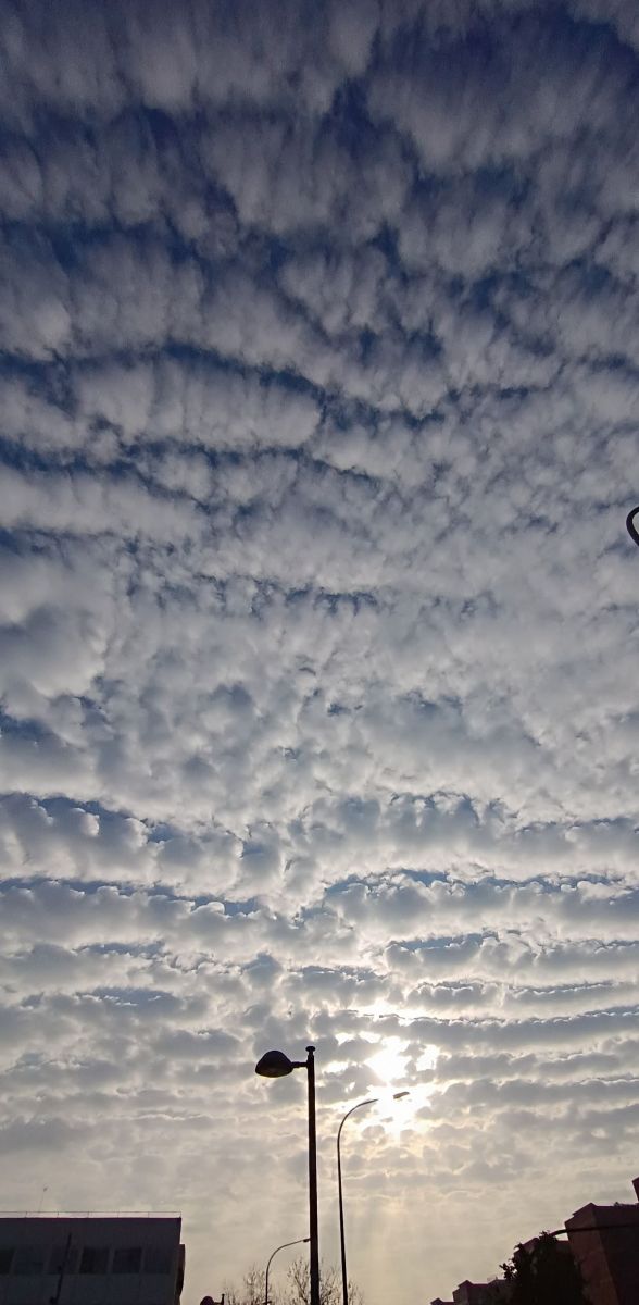 Acumulación de una gigante stratocumulus avanzando sobre una gran avenida, la velocidad y los rayos penetrando la superficie nubosa hasta caer, da una extraña sensación que asemeja una situación de urgencia y apocalíptica.
