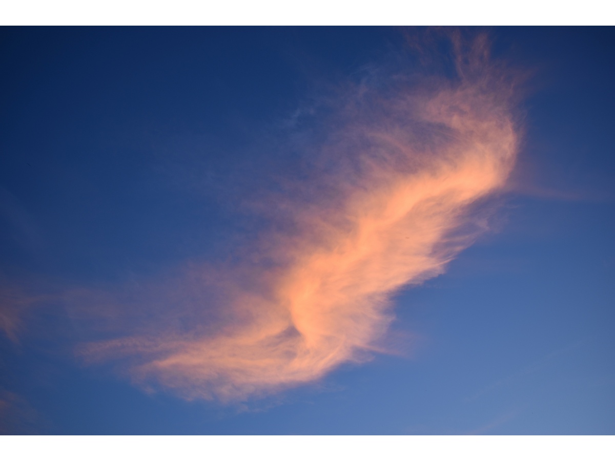 Cirro o nube alta teñido de naranja cuando el sol se ponía a última hora del día.
