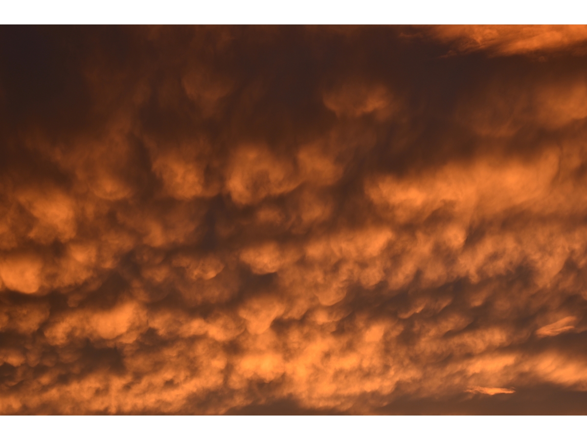 Las nubes mammatus en pleno candilazo dejando un atardecer de ensueño.
