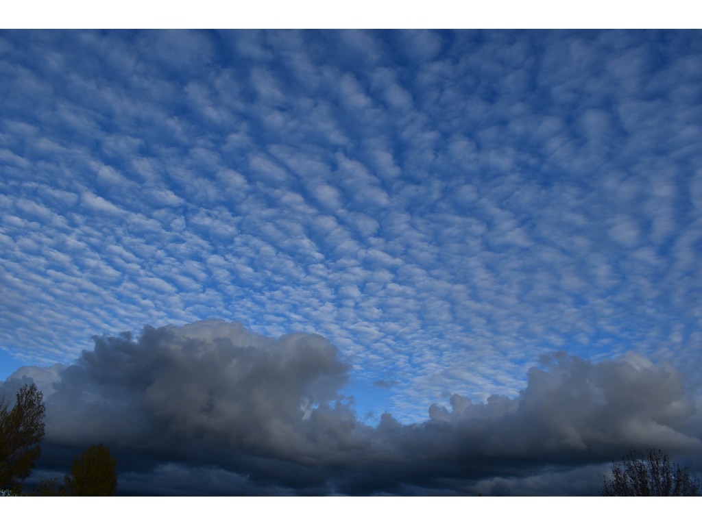 Mix de nubes
Mezcla de nubes de tipo bajo y medio en un día ventoso.
