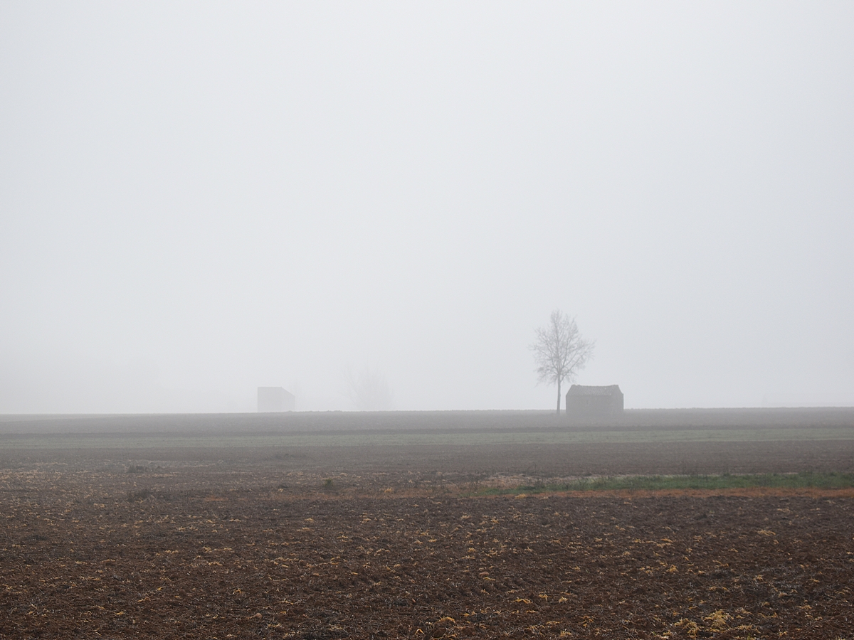 La niebla espesa y muy fría con escasa visibilidad se apoderó de los páramos y campiñas dando un aspecto bucólico al paisaje burgalés. 
