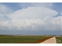 CUMULONIMBUS_INCUS.jpg