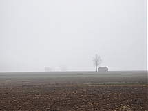 PAISAJE_ENTRE_LA_NIEBLA.jpg