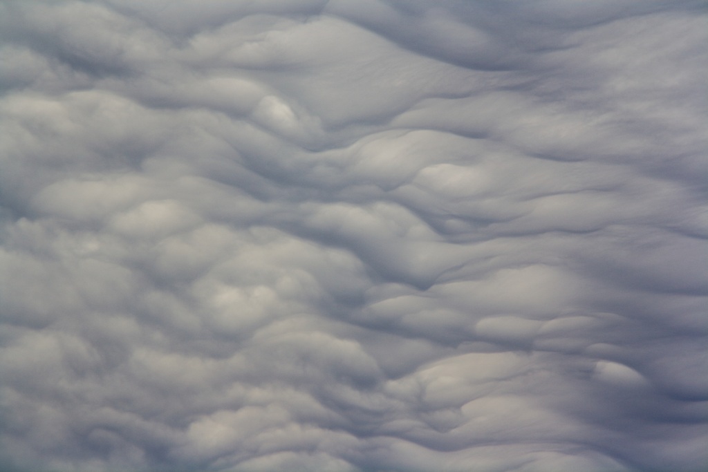 Ondulatus muy marcados que pude fotografiar
