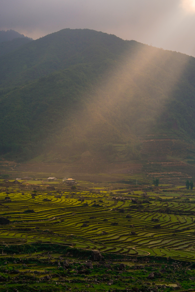 La tierra iluminada
Los últimos rayos de sol, atraviesan un cúmulo de nubes iluminando de manera muy sutil y hermosa los cultivos de arroz en Vietnam
