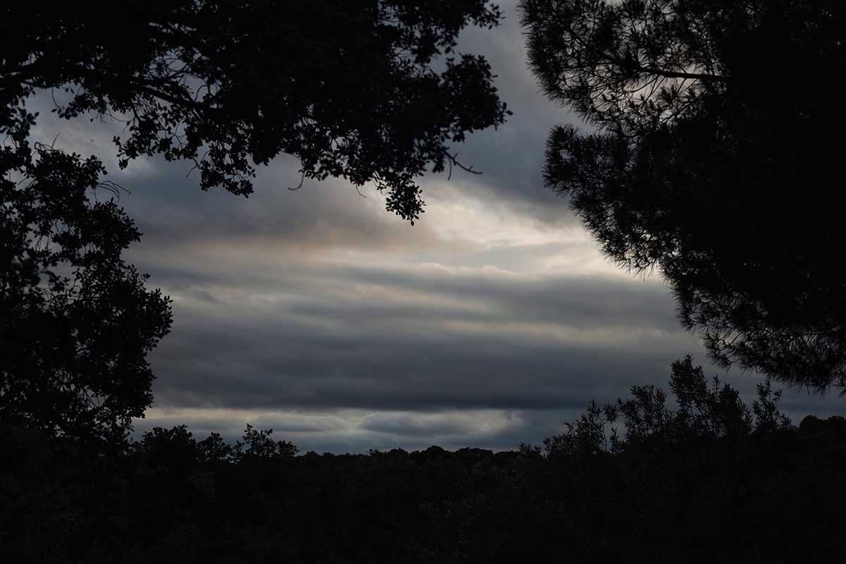 Susurros del cielo 
Esta fotografía, capturada a través de un marco vegetal, revela las nubes en toda su intimidad, destacando su belleza, sus curvas y su delicadeza. Nos brinda una perspectiva única, enmarcada por la vegetación, que a veces oculta y protege la majestuosidad de las nubes.
