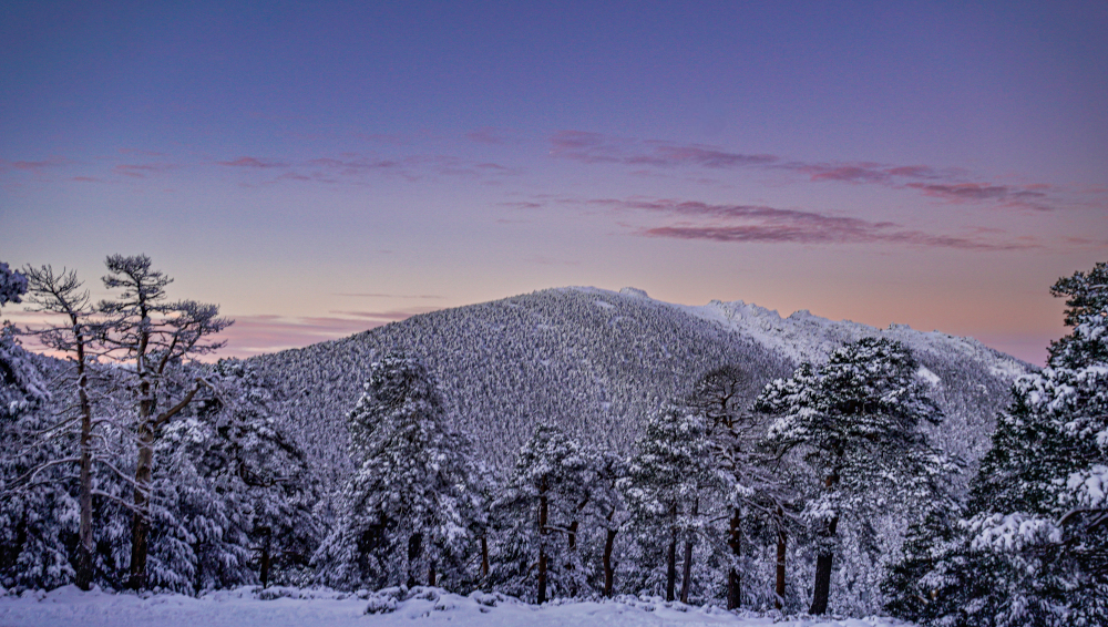 Siete Picos al fondo desde el puerto de Navacerrada al amanecer del 12 de enero de 2024
