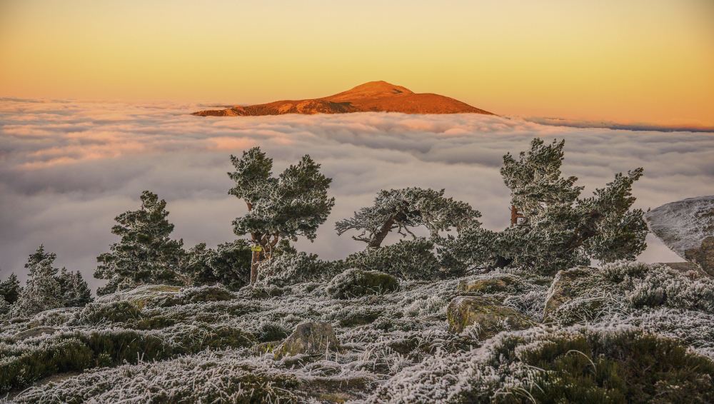 Muy bonitas luces había el 21 de diciembre de 2024 desde Siete Picos. En la foto se ve la cencellada que había en la zona y al fondo el Pico Peñalara libre de nieve y cencellada. 
