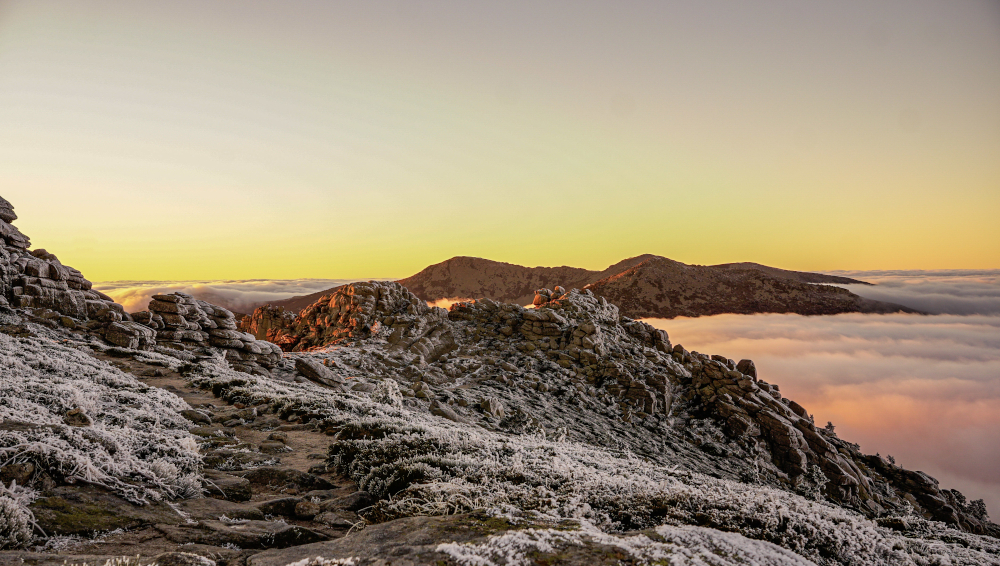 En la tarde del 21 de enero de 2024, después de un día en el que la niebla cubrió las cumbres de la sierra de Guadarrama, con temperatura bajo cero, depositando cencellada, se abrieron claros y las nieblas quedaron en la cara norte de la sierra, quedando algunas cumbres y la cara sur libre de nubes.
