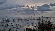 IMG_0067.jpeg