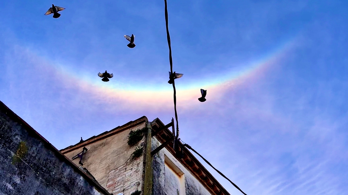 El vuelo de unas palomas, junto a una parte de un halo solar, crearon una estampa, propia de los ángeles.
