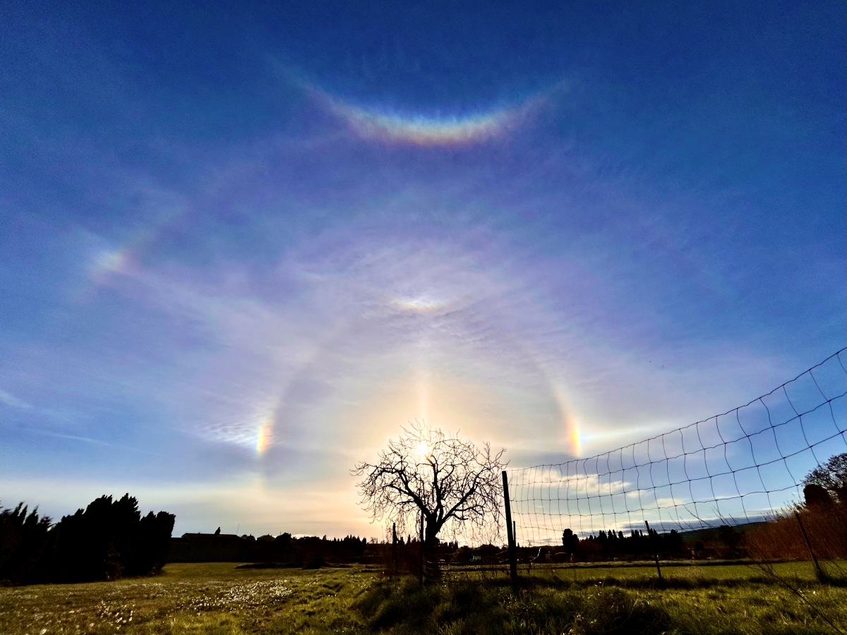 Gracias a la presencia de cristalitos de hielo en el cielo, se pudo divisar un curioso y completo, efecto óptico.
