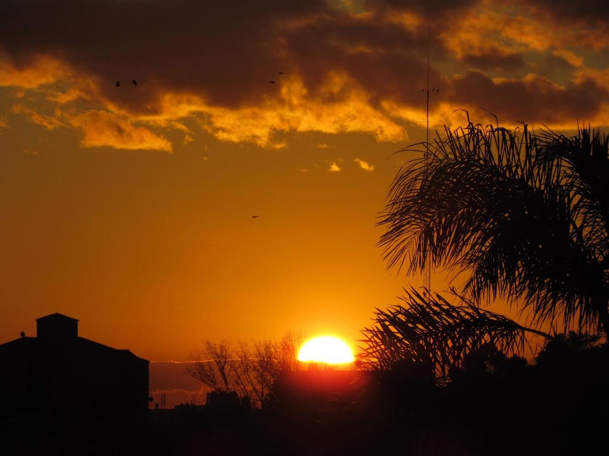 Hermoso atardecer con el sol ocultándose detrás de edificios y palmeras
