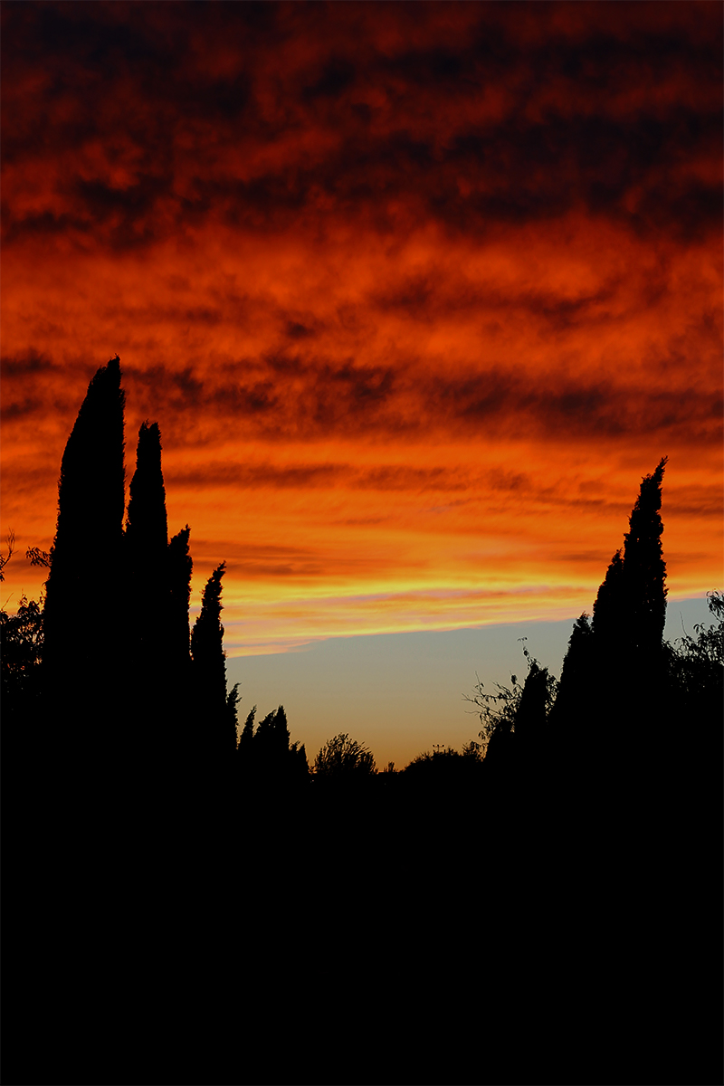 Estratocúmulos al atardecer sobre un paseo con cipreses del Parque Juan Carlos I en Madrid.
