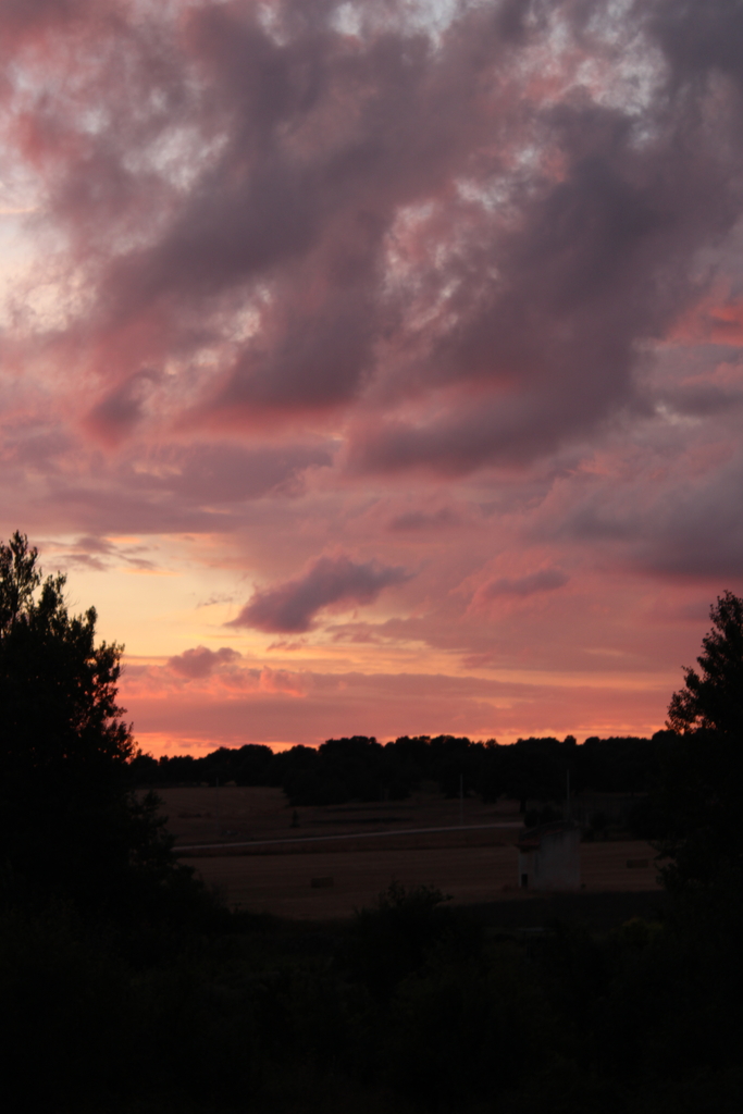 Cielo al atardecer
