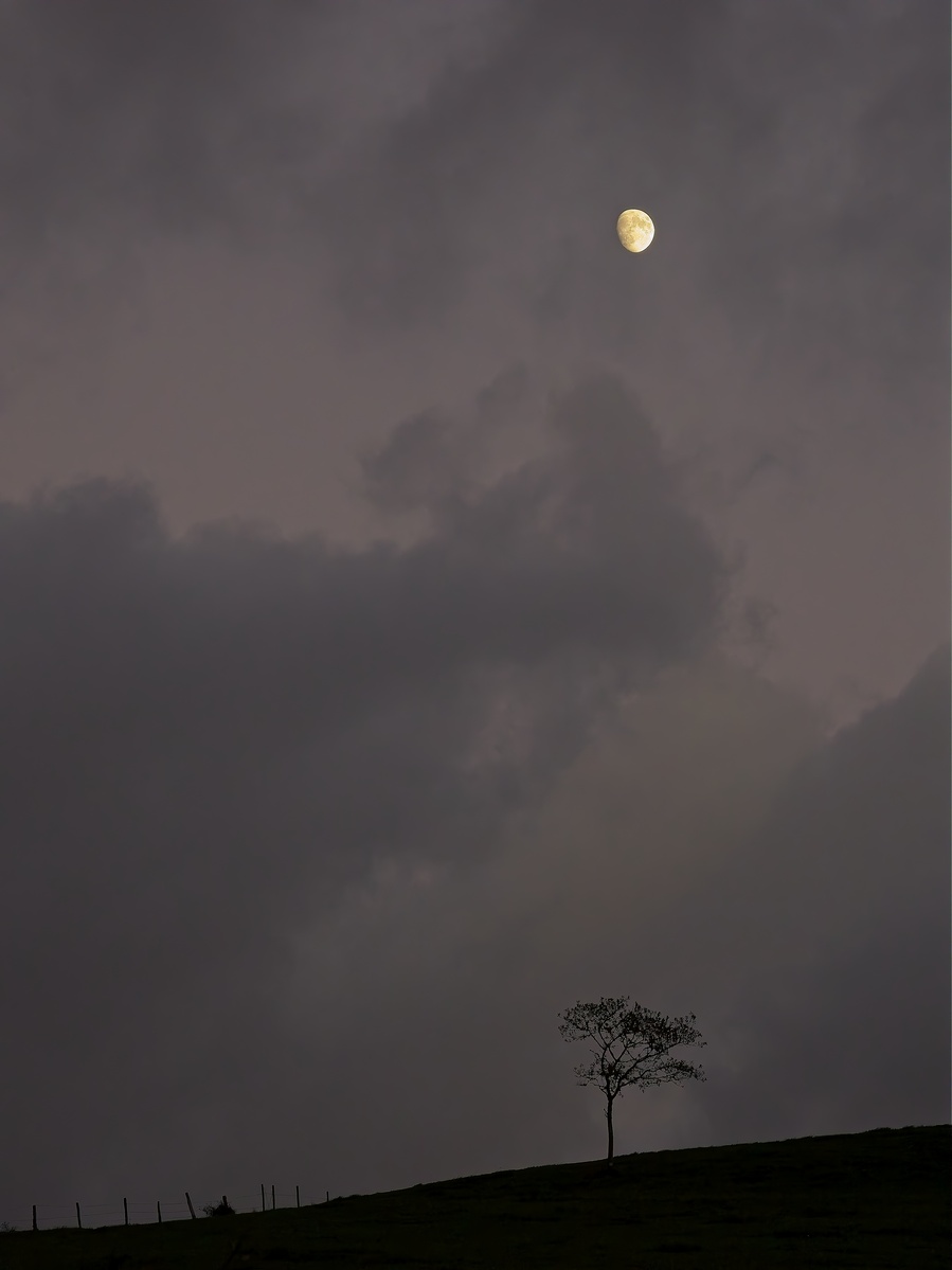 La luna saliendo de entre las nubes
