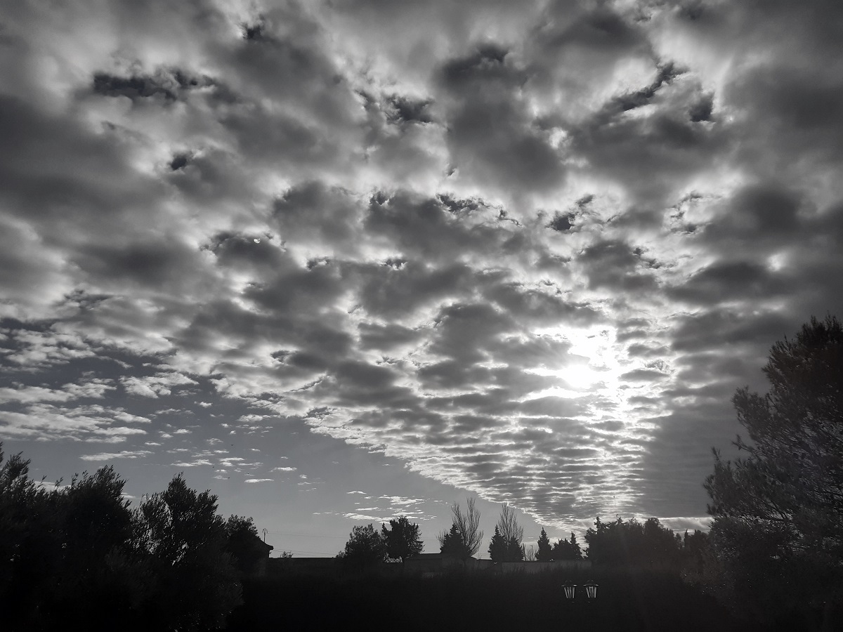 ALTOCUMULUS STRATIFORMIS PERLUCIDUS AL AMANECER
