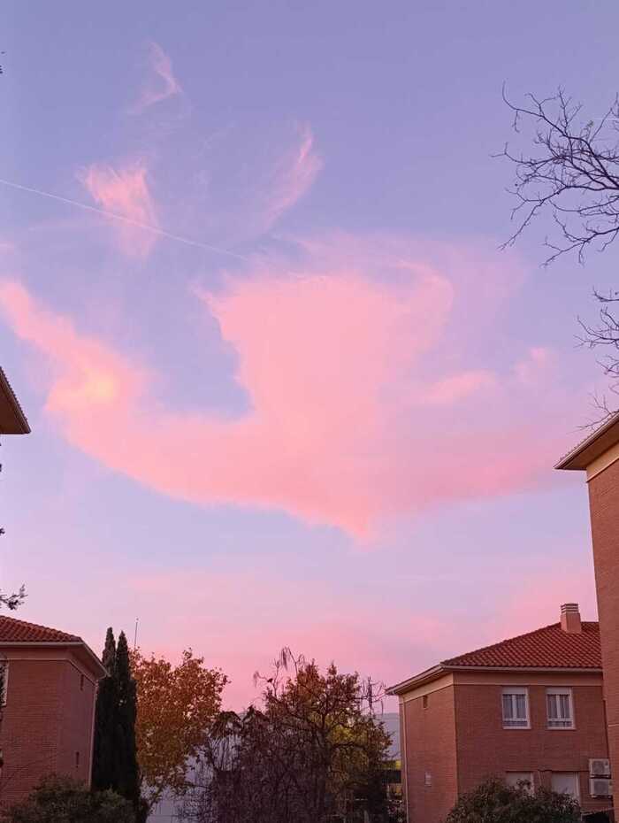 NUBES DE ALGODÓN
