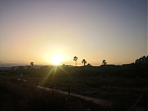 AtardecerRojizoPalmeras.jpg