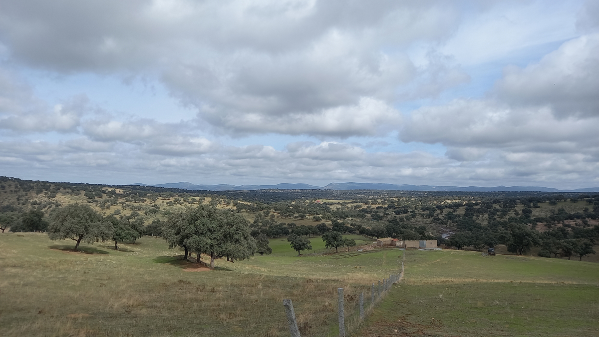 NUBES SOBRE EL VALLE DE PEDROCHE (CÓRDOBA)
