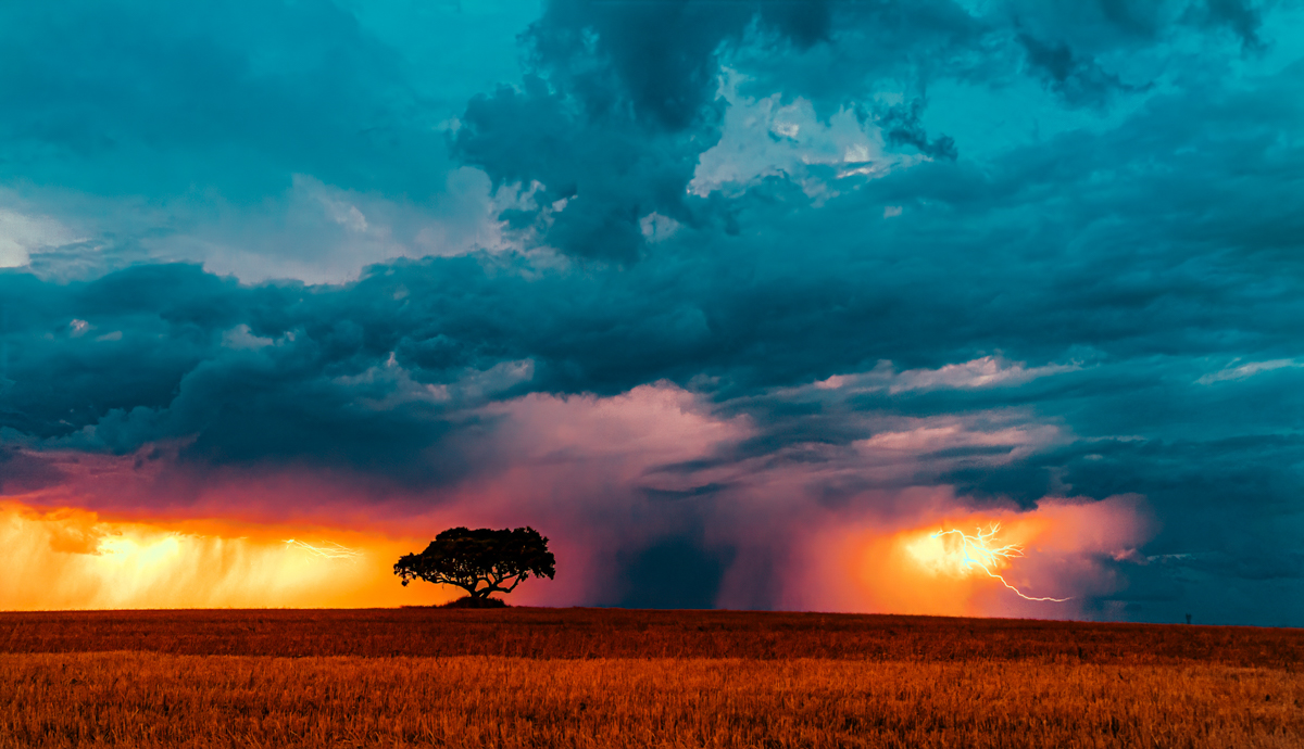 foto planificada para conocer donde estaba la tormenta, necesitaba que estuviera por la zona de Cuenca para poder componer con esta bonita encina que recuerda a la sabana africana. 
A partir de ahí componer y esperar a que los relámpagos entraran en el encuadre.
