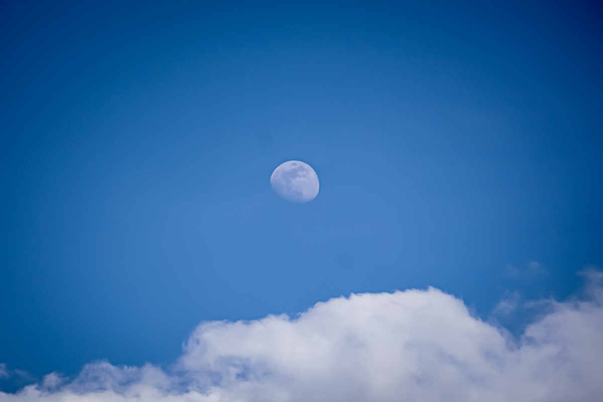 Retrato de una luna llena.
