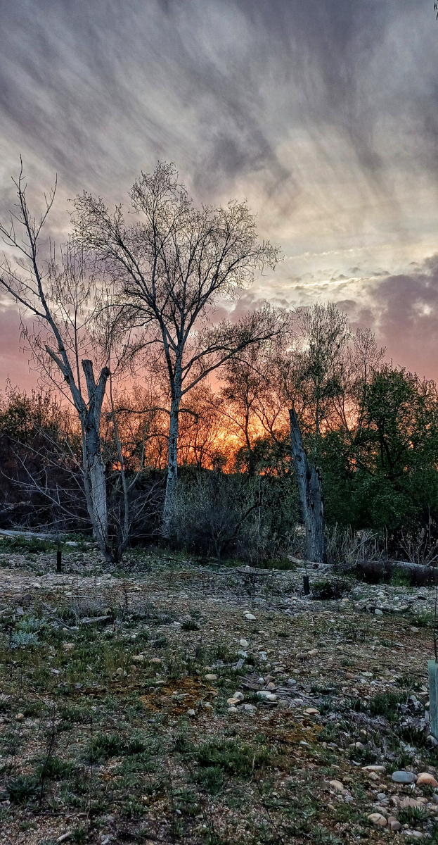 Oscuro atardecer
