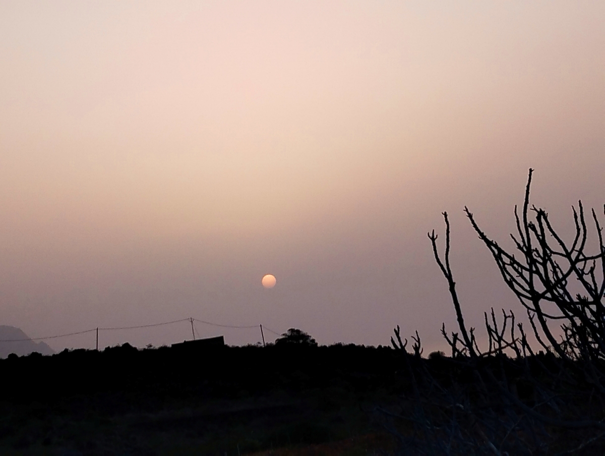 El dorado de la tarde se torna azul
