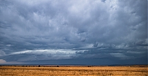 P4691679.jpg