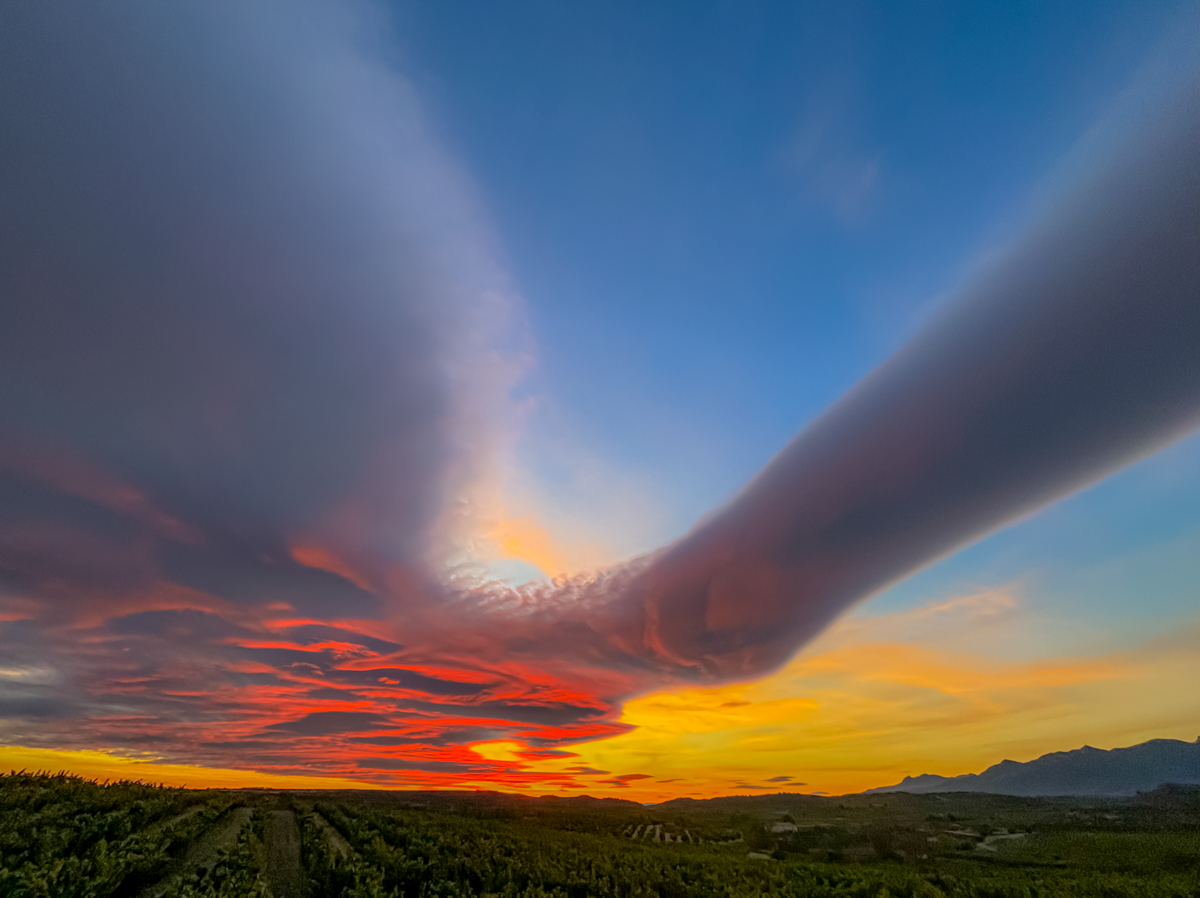 El viento moldeaba las nubes formandano estas espectalucares formas delas nubes lenticulares y este precioso atardecer entre las viñas.
