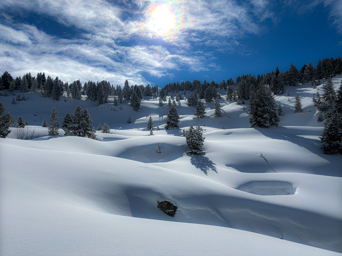 Despues de una gran nevda de 115cm en la zona de la Contienda en Larra-belagua en el pirineo navarro, haciendo raquetas apareció este fenomeno metorlogico poco común.
