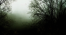 Niebla1.jpg