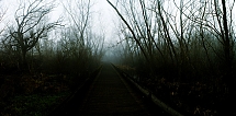 Niebla2.jpg