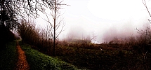 Niebla3.jpg