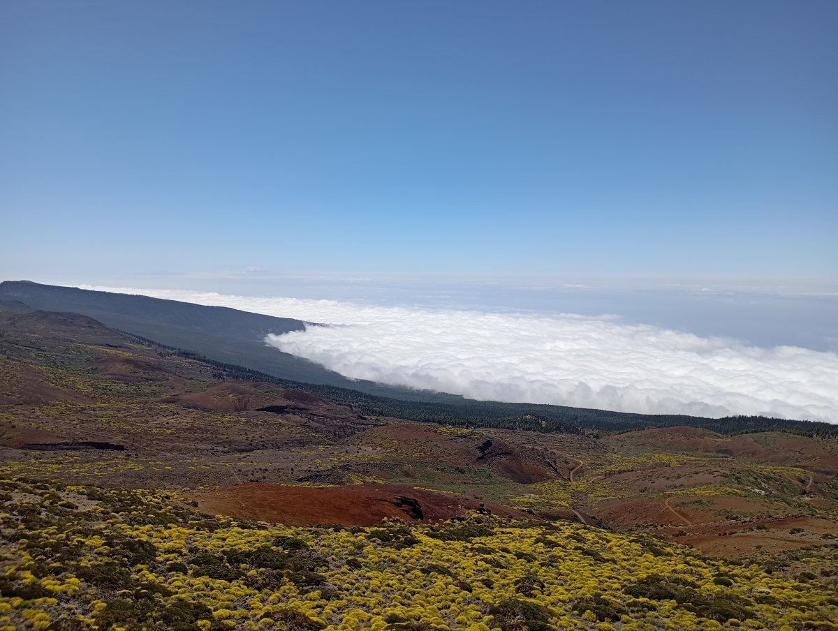 Aire húmedo del alisio asciende por la ladera norte de la isla y al enfriarse, condensa formando stratocumulus. La inversión térmica asociada a subsidencia subtropical impide que las nubes asciendan más.


