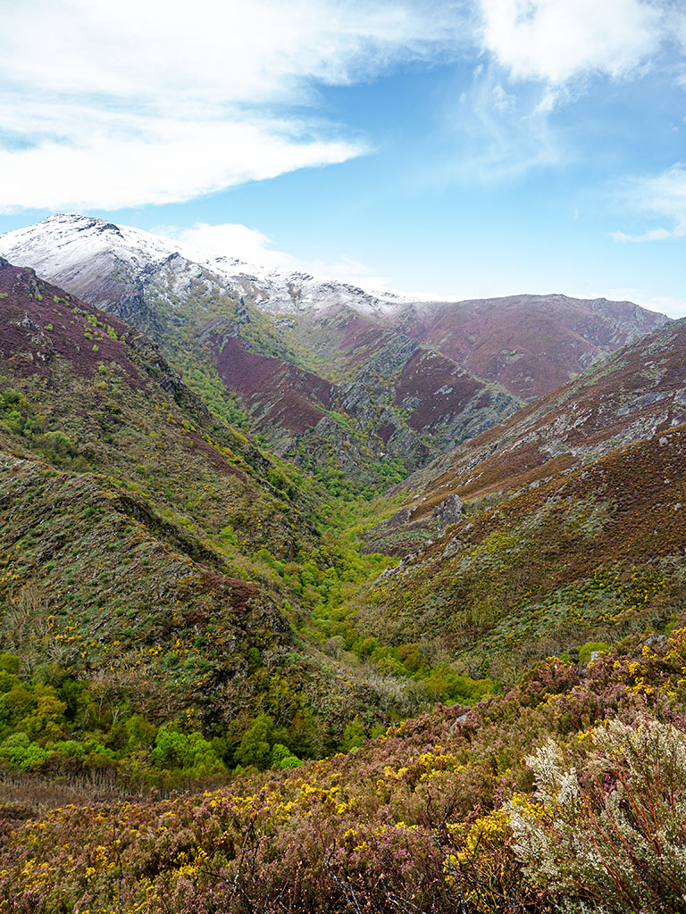 Ese día colleunos unha boa nevada de camiño ó teixadal, apenas teño fotos de eses intres xa que intentei protexer a cámara todo o que puiden. En canto escampou, a estampa era preciosa.
