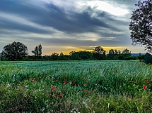 Nombre del archivo=ATARDECER_CAMPESTRE.jpg
Tamaño del archivo=880Kb
Dimensiones=1100x826
Fecha añadida=Junio 10, 2025 ATARDECER_CAMPESTRE.jpg